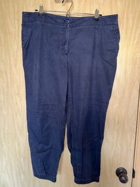Women’s 2x PETITE Talbots Navy Elastic Waist Jogger Pants